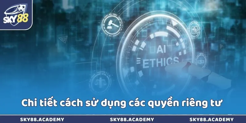 Chi tiết cách sử dụng các quyền riêng tư