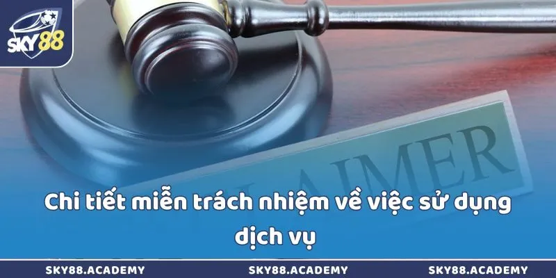 Chi tiết miễn trách nhiệm về việc sử dụng dịch vụ