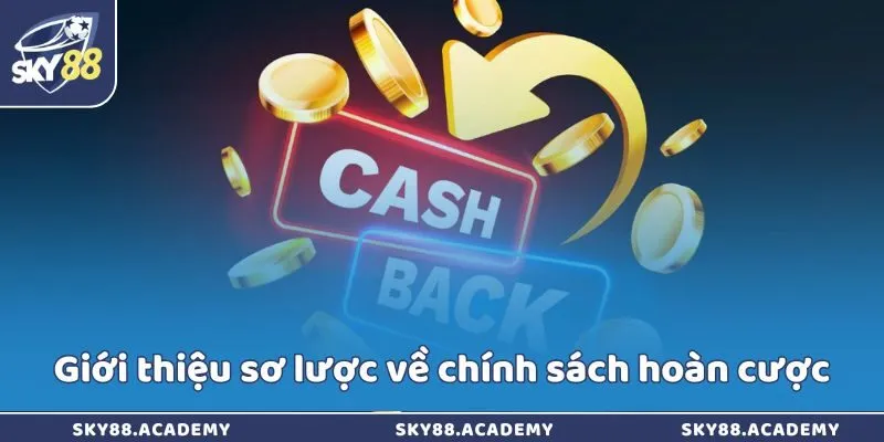 Giới thiệu sơ lược về chính sách hoàn cược