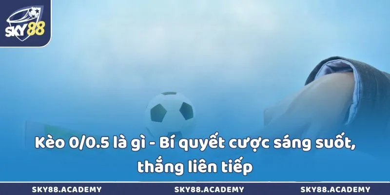 Kèo 0/0.5 là gì -  Bí quyết cược sáng suốt, thắng liên tiếp