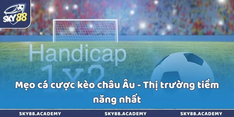 Mẹo cá cược kèo châu Âu - Thị trường tiềm năng nhất