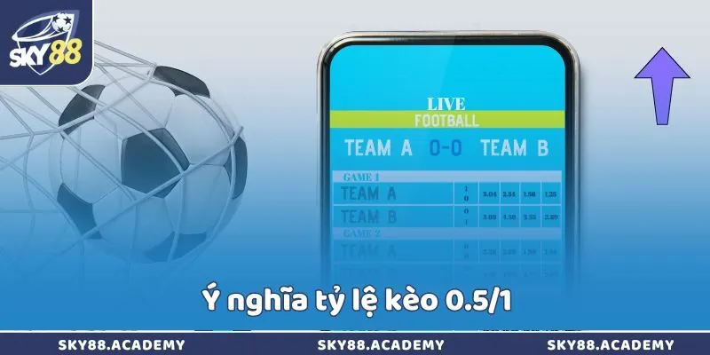 Ý nghĩa tỷ lệ kèo 0.5/1